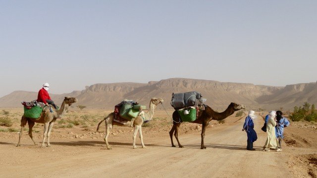 Watch On Tour Exploring the Extraordinary: Sahara Safari Online