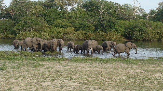 Watch On Tour... MUKUBA EXPRESS A Fascinating Train Journey From Selous Park To Dar-Es-Salaam Online