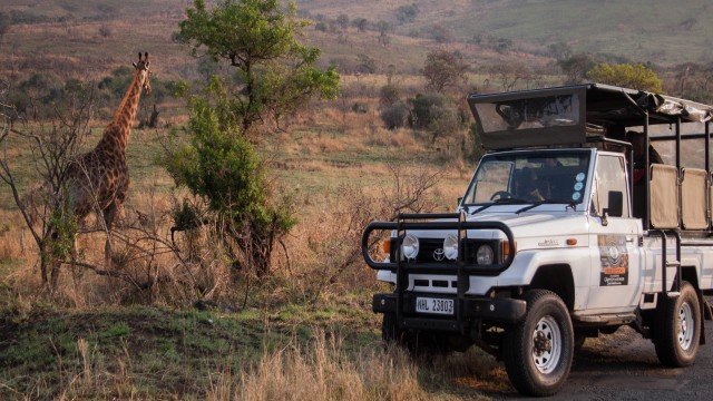 Watch Nature Tracks At the Waterhole Online