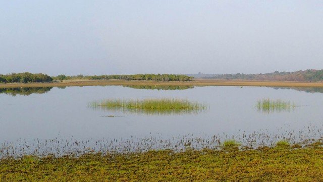 Watch Nature Tracks A Liquid Cradle Online