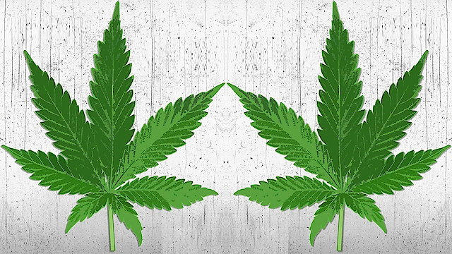 Watch High There Online