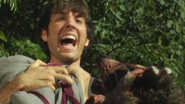Watch Coons! Night of the Bandits of the Night Online