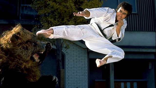 Watch Karate Bearfighter Online