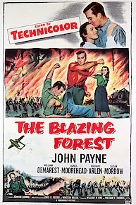 The Blazing Forest