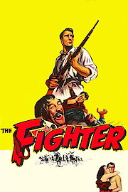Fighter poster