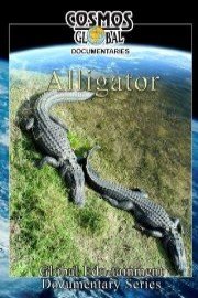 Cosmos Global Documentaries ALLIGATOR