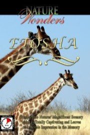 Nature Wonders ETOSHA Namibia poster