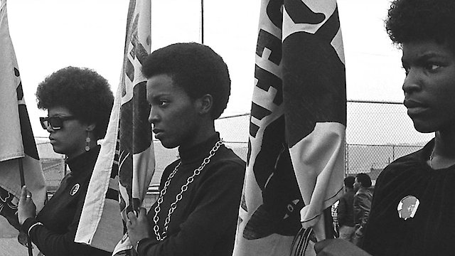 Watch The Black Panthers: Vanguard Of The Revolution Online