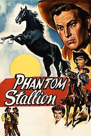 Phantom Stallion poster