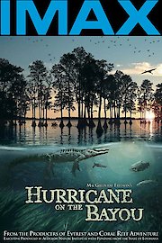 Hurricane on the Bayou poster