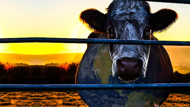 Watch Cowspiracy Online