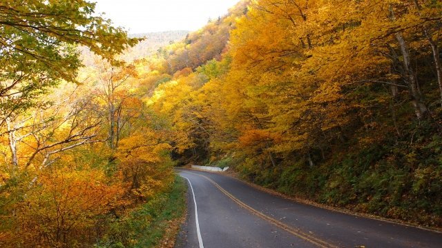 Watch Fall New England Online