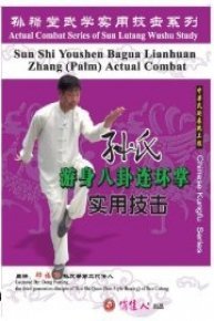 Sun-style Youshen Bagua Lianhuan Zhang (Palm) Actual Combat