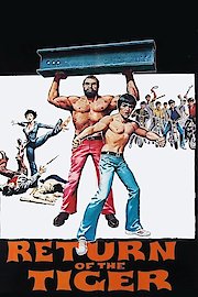 Return of the Tiger poster