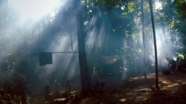Watch Song From The Forest Online
