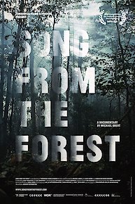 Song From The Forest