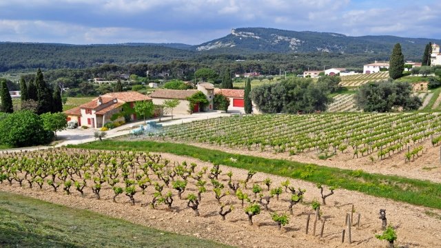 Watch The Vineyards and Wine of Cassis: The best white wine in the world Online