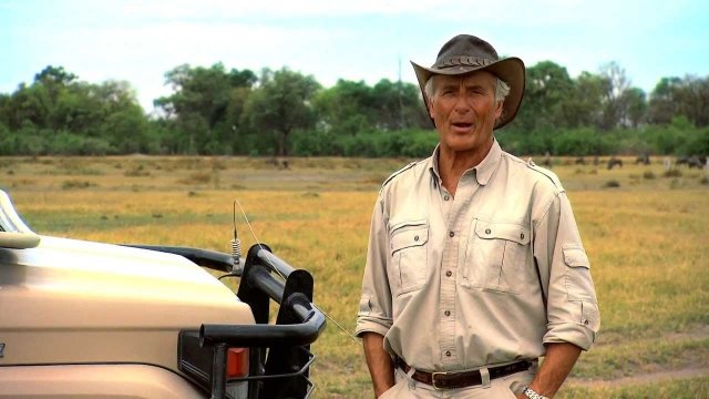 Watch Jack Hanna's Animal Adventures: On Safari with Jack Online