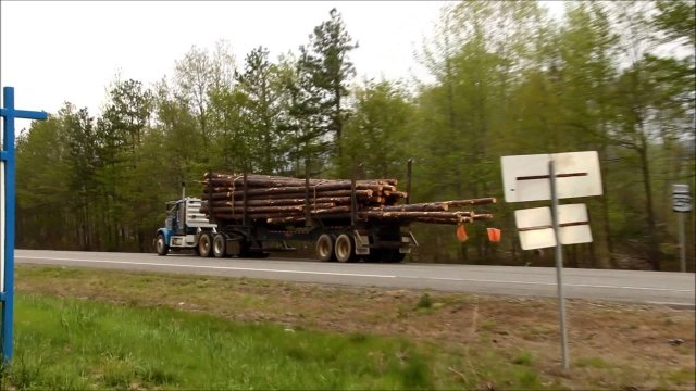 Watch Bigfootville Online