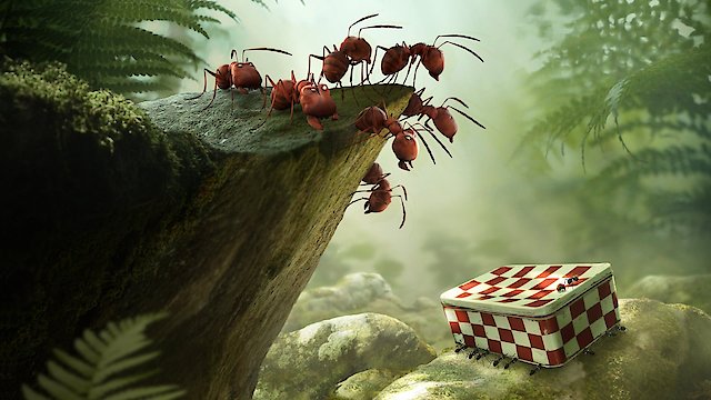 Watch Minuscule: Valley of the Lost Ants Online