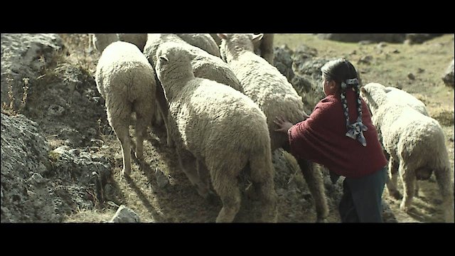 Watch Casa Grande Online