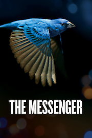 The Messenger