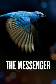 The Messenger