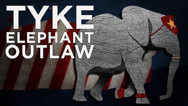 Watch Tyke: Elephant Outlaw Online