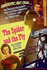 The Spider And The Fly poster