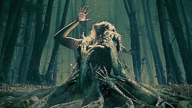 Watch The Forest Online