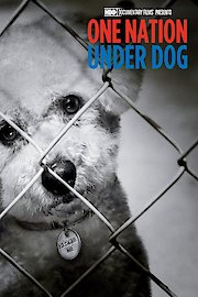 One Nation Under Dog poster