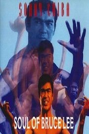 Soul of Bruce Lee poster
