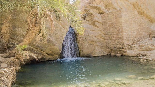 Watch TUNISIAN OASIS, Tunisia Online