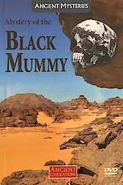 The Mystery of the Black Mummy poster