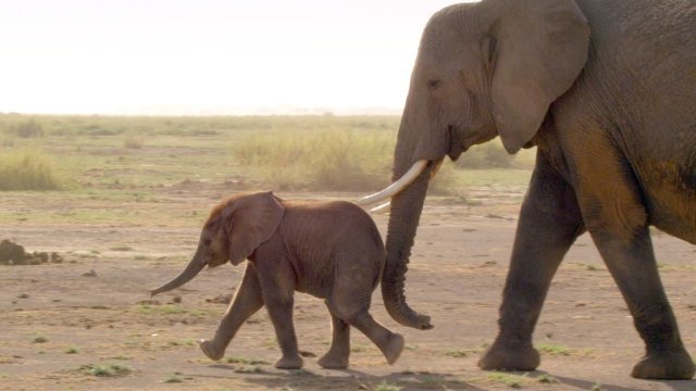 Watch Life's Story 2: The Reason for then Journey Online