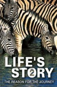 Life's Story 2: The Reason for then Journey