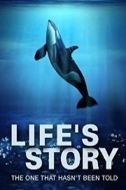 Life's Story: The One That Hasn't Been Told poster