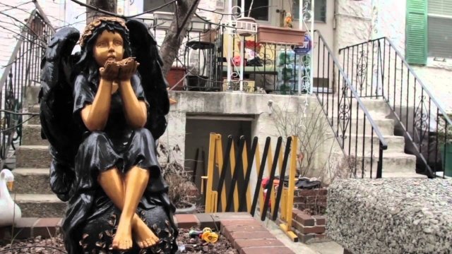 Watch Uncensored: Narco Journalism Online