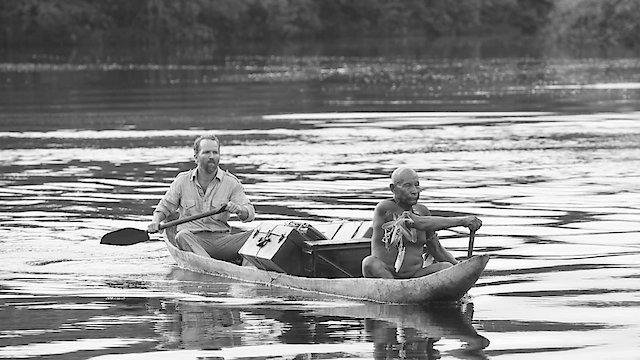 Watch Embrace of the Serpent Online