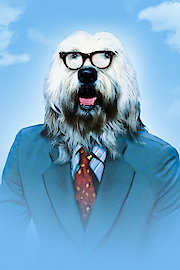 The Shaggy D.A. poster