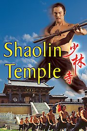 Shaolin Temple poster