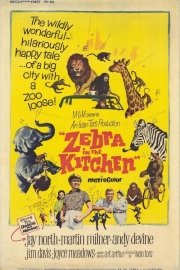 Zebra in the Kitchen poster