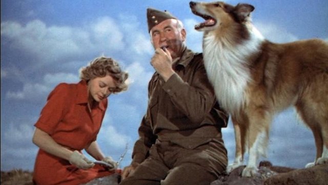 Watch Son of Lassie Online