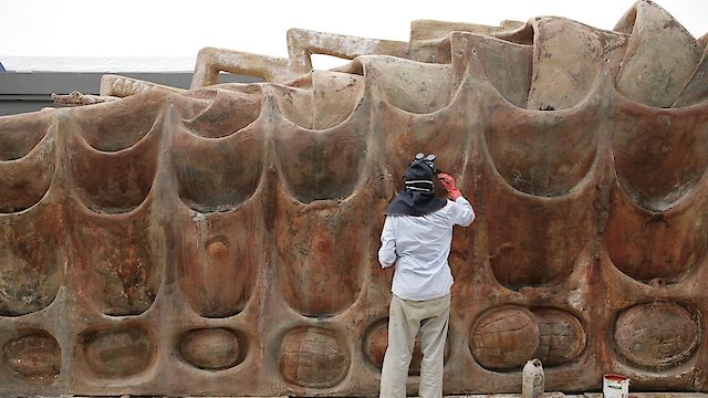 Watch El informe Toledo Online