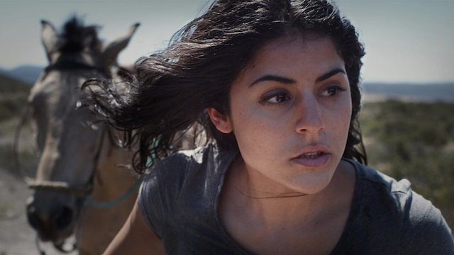 Watch Hostile Border Online