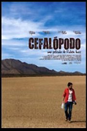Cephalopod poster