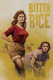 Bitter Rice