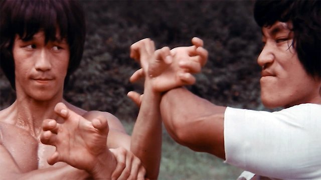 Watch The Clones of Bruce Lee Online