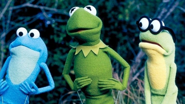 Watch Kermit's Swamp Years Online