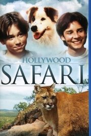 Hollywood Safari poster